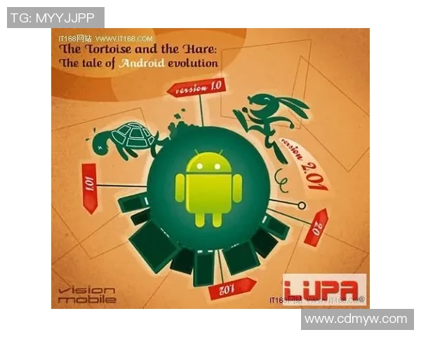 月度体育热点回顾与分析聚焦赛事动态与明星表现