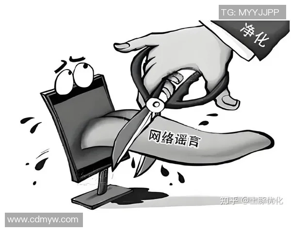 观众投诉处理机制公示与优化方案的全面解读与实施细则